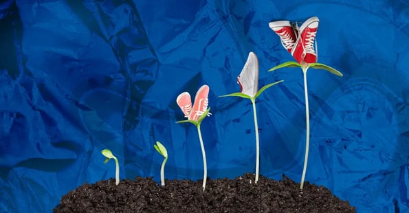 Five plants growing up from brown soil, three of which have sneakers blooming from the tops.